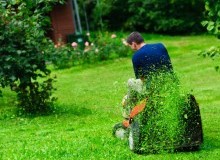 Kwikfynd Lawn Mowing
diamondtree