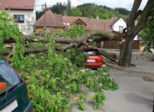 Kwikfynd Tree Cutting Services
diamondtree